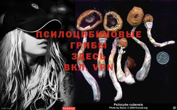 метадон Армянск