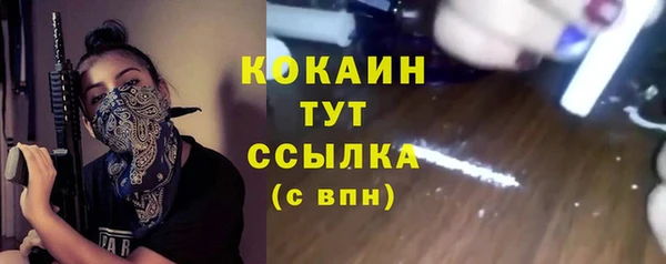 гидра Аркадак