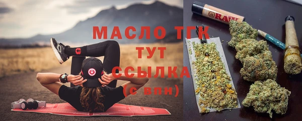гидра Аркадак