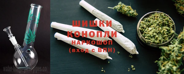 гидра Аркадак