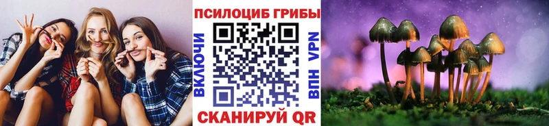 Псилоцибиновые грибы прущие грибы  наркотики  Горнозаводск 
