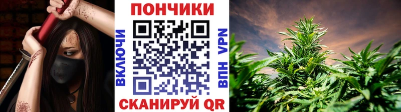 Марихуана сатива  Горнозаводск 